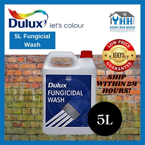 5LT Dulux Fungicidal Wash / anti fungus wash Preparation for Interior & Exterior Wall Brick Wood ...