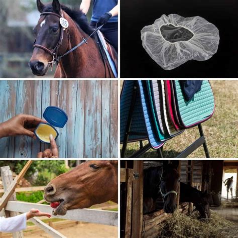 Brave Horse Runs Back Into CA Wildfire To Save Two Other Horses