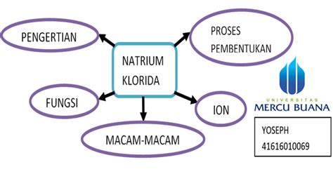 KimintekHijau.com: NATRIUM KLORIDA