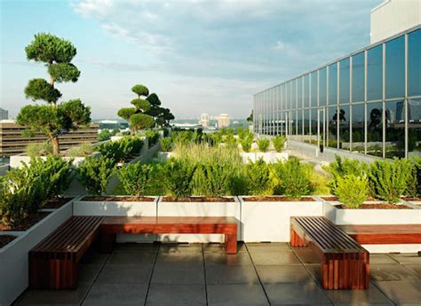 Green Roofs Are Changing the Way Architects Design Buildings