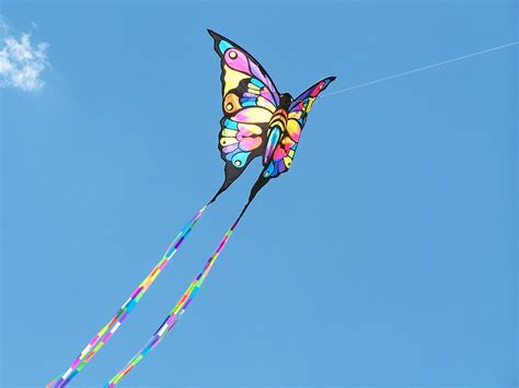 Free Kite Flying Stock Photo - FreeImages.com