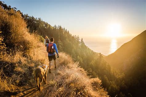 Big Sur Hiking Trails - Happily Ever Hiker