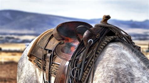 Horse Rider Wallpapers - Top Free Horse Rider Backgrounds - WallpaperAccess