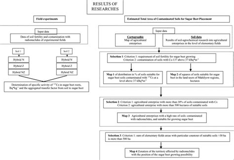 The process of research development | Download Scientific Diagram