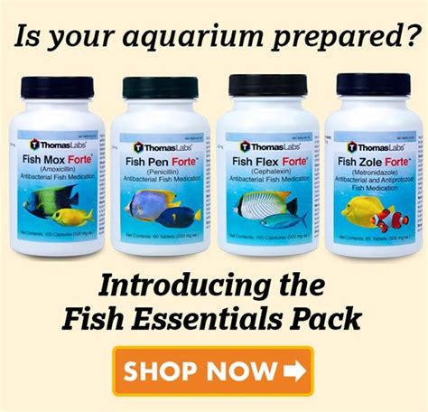 Wide selection of fish antibiotics from Thomas Labs and Source Max Labs. Free same-day shipping ...