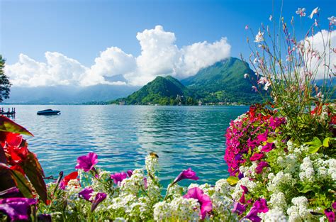 Lake Flowers Wallpapers - Top Free Lake Flowers Backgrounds - WallpaperAccess