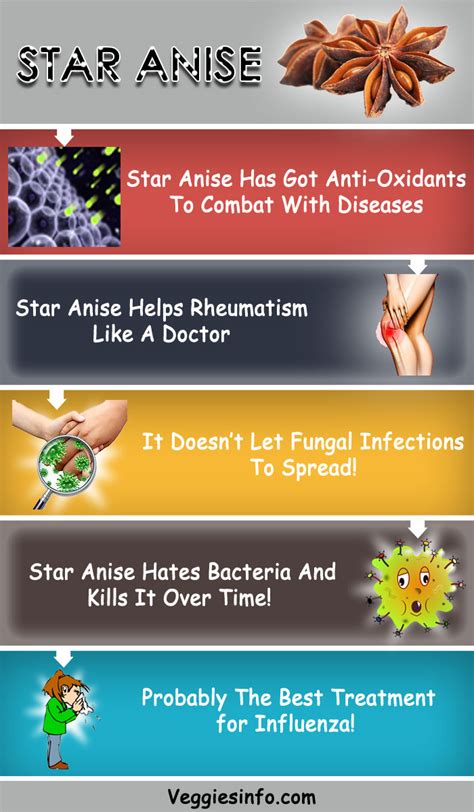 Star Anise – Reveal Its Hidden Health Benefits Here! | Veggies Info