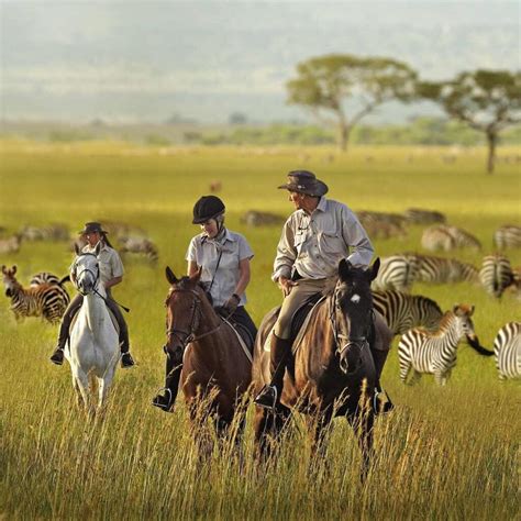 Luxury Tanzania Migration Safari - African Landmark Safaris