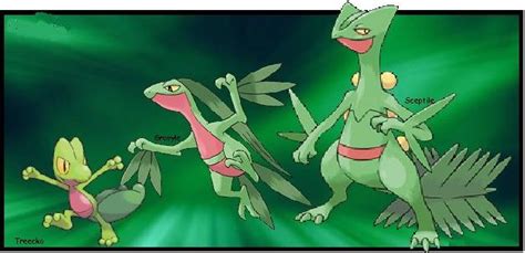 Treecko Evolution Banner by joyful-melody on DeviantArt