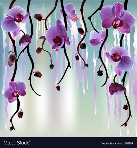 Background with orchids Royalty Free Vector Image