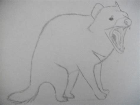 Tasmanian Devil Sketch Uncolored by SarcophilusHarrisi on DeviantArt