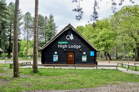 High Lodge Forest Centre, Thetford Forest – Eventswhatson.com – What's On Guide