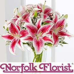 Norfolk Florist in Virginia Beach, VA 23455 | Citysearch