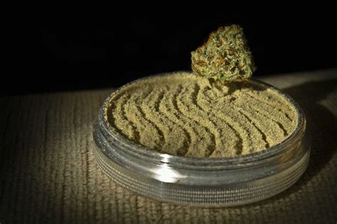 Top 5 Best Weed Grinder for Grinding Weed - Smoke Weed Inc