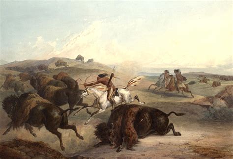 Indians Hunting The Bison Digital Art by Karl Bodmer - Fine Art America