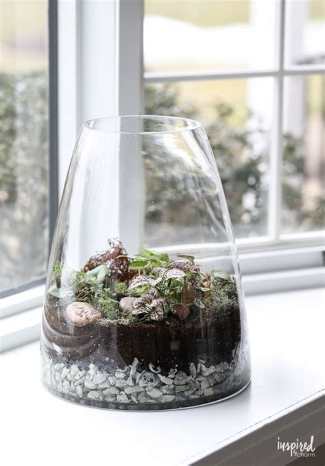 Learn how to make a terrarium! #terrarium #plants #diy #garden | How to make terrariums ...