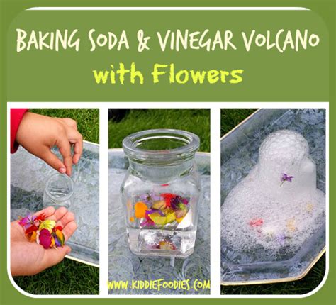 Baking Soda and Vinegar Volcano with Flowers