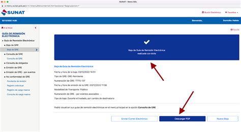 Anular (Dar de baja) Guía de Remisión Electrónica (GRE) desde la Sunat - Grupo Acasiete Cisneros