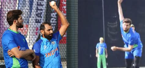 Mohammed Shami Gives Bowling Tips To Shaheen Shah Afridi