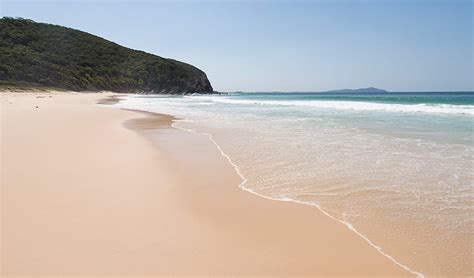 Elizabeth Beach picnic area | NSW National Parks