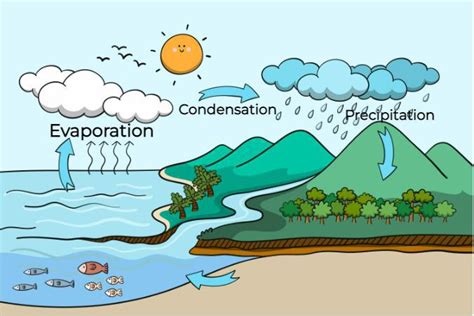 What is Condensation? - Process, Examples, Water Cycle & FAQs