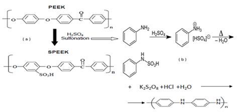 (a) Sulfonation of PEEK, (b) Situ chemical polymerization of aniline | Download Scientific Diagram