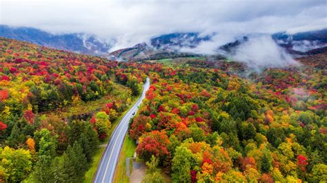 Fall foliage in New England starts early this year – NBC Boston