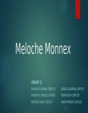 Meloche Monnex 1 .pptx - Meloche Monnex GROUP 2: BHAVIKA KHURANA 18P015 ...