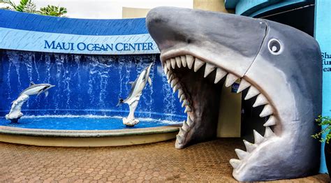 Explore Hawaii's Underwater World at the Maui Ocean Center