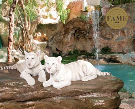 Hall of Fame: Siegfried & Roy's Secret Garden and Dolphin Habitat - Las ...