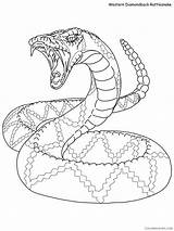 Rattlesnake Coloring Pages Animal Printable Sheets rattle Snake 2021  sketch template