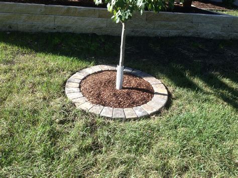 A simple tree ring with circle pavers. #mulchlandscapingideas | Tree mulch, Landscaping around ...