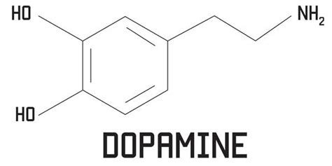 How to Boost Your Dopamine Levels – What It Will Do for You?