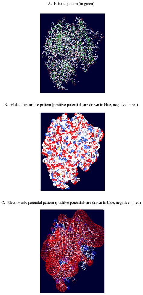 IJMS | Free Full-Text | Molecular Structure of Human Transferrin – Transferrin Receptor Complex