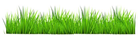 Green Grass Clip Art At Clker Com Vector Clip Art Onl - vrogue.co