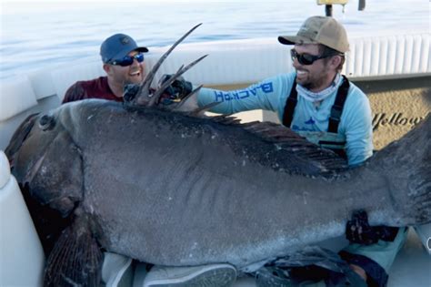 ‘We caught a sea monster’: Florida fishermen reel in massive grouper - National | Globalnews.ca