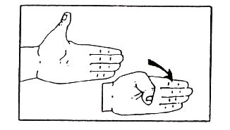 Hand Surgical Associates Boston - Exercise for Thumb Range of Motion