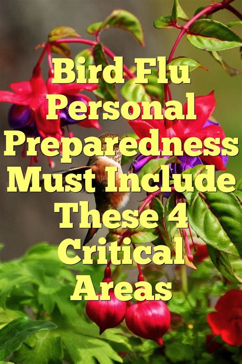 Bird Flu Personal Preparedness Must Include These 4 Critical Areas | by Birdsquestions | Medium