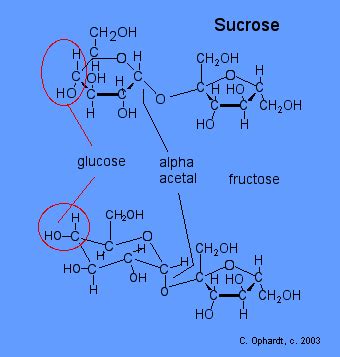 Sucrose - Chemistry LibreTexts