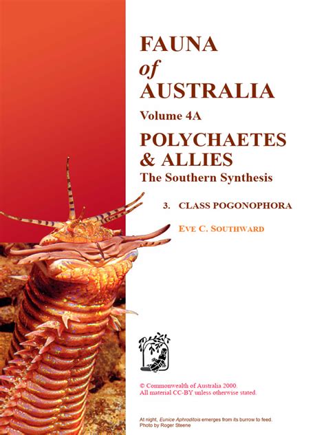 4a Polychaetes 03 Pogonophora 02 | PDF | Epithelium | Anatomy