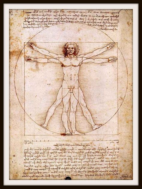 leonardo-da-vinci-anatomy - Abacus Chinese Medicine