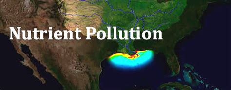 Nutrient Pollution - Illinois Environmental Council