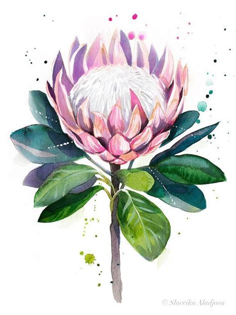 King protea Painting by Slaveika Aladjova | Saatchi Art | Protea art ...