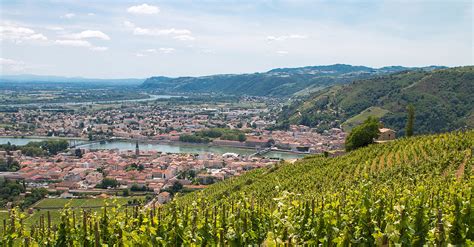 Wine 101: French Wine Regions: Southern Rhône | VinePair