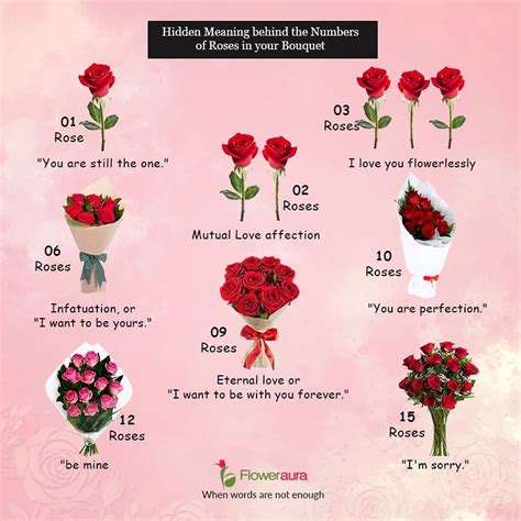 Roses Meaning By Number 1- 100 (Infographic), 49% OFF