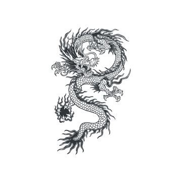 47,477 BEST Dragon Tattoo IMAGES, STOCK PHOTOS & VECTORS | Adobe Stock