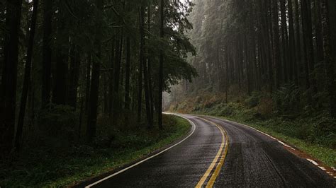 5K free download | Road, black, dark, devil, forest, nature, redwood, tree, HD wallpaper | Peakpx