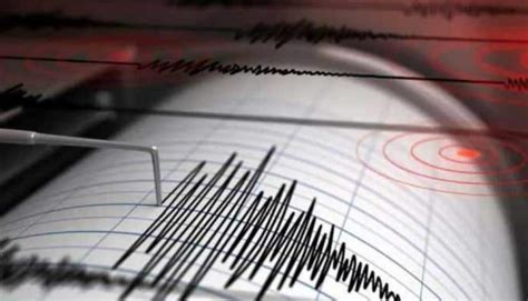 Earthquake in Delhi-NCR LIVE UPDATES: Strong tremors felt in Noida ...