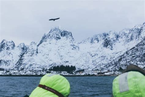 10 Adventurous and Stunning Things to Do in Svolvaer, Norway