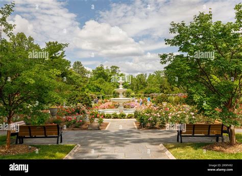 The rudolf w van der goot rose garden hi-res stock photography and images - Alamy